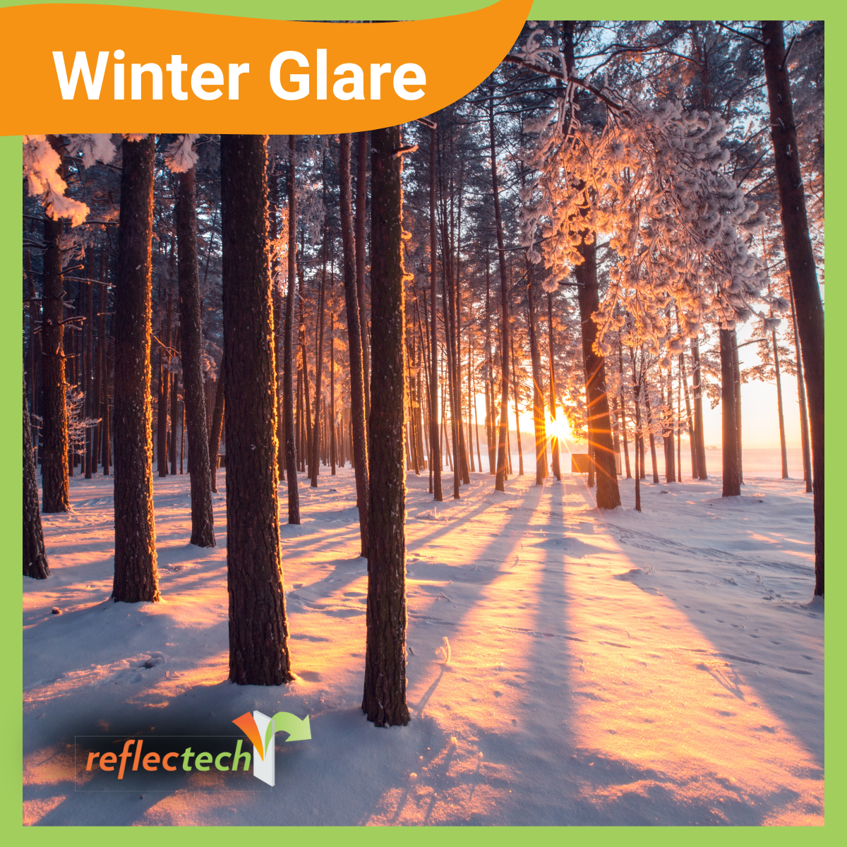 Winter Glare